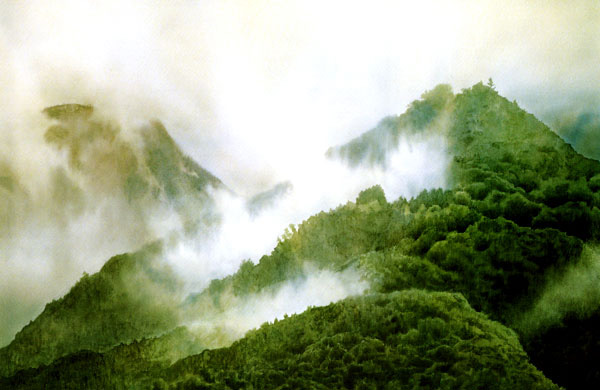 Mountain Mist